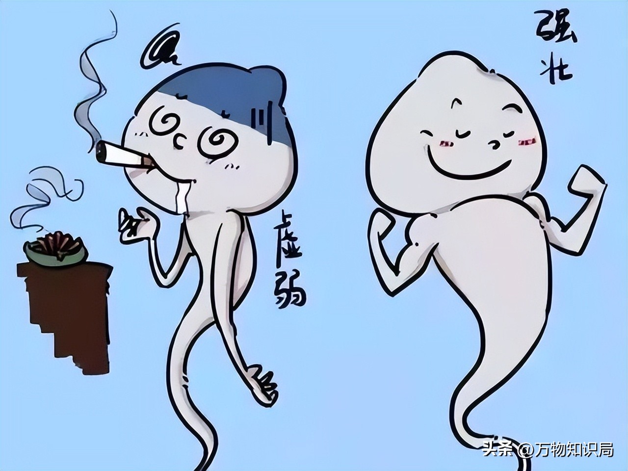 进入女性体内后，没“受精”成功的精子都去哪儿了？既好笑又心疼