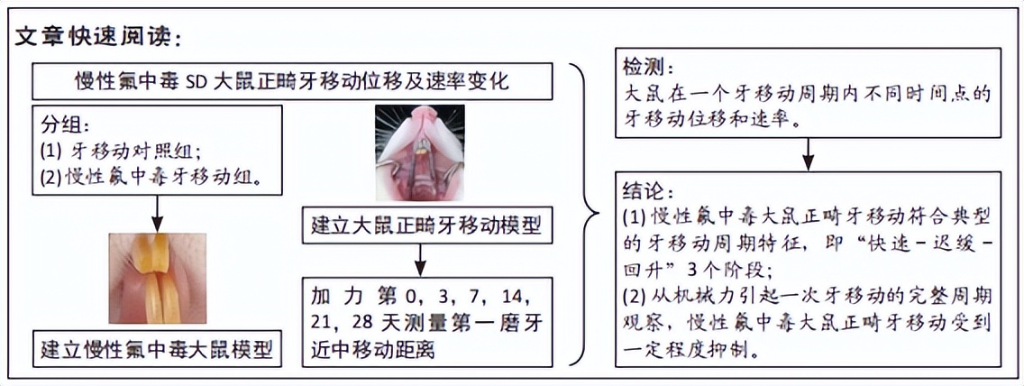 慢性氟中毒,慢性氟中毒对以后的身体影响
