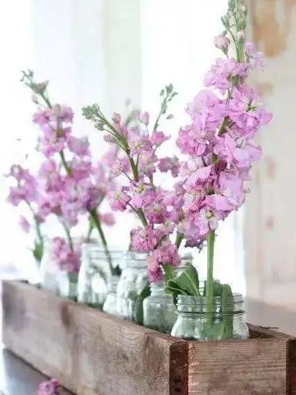 三月花事Vol.2|那些属于女神们的花