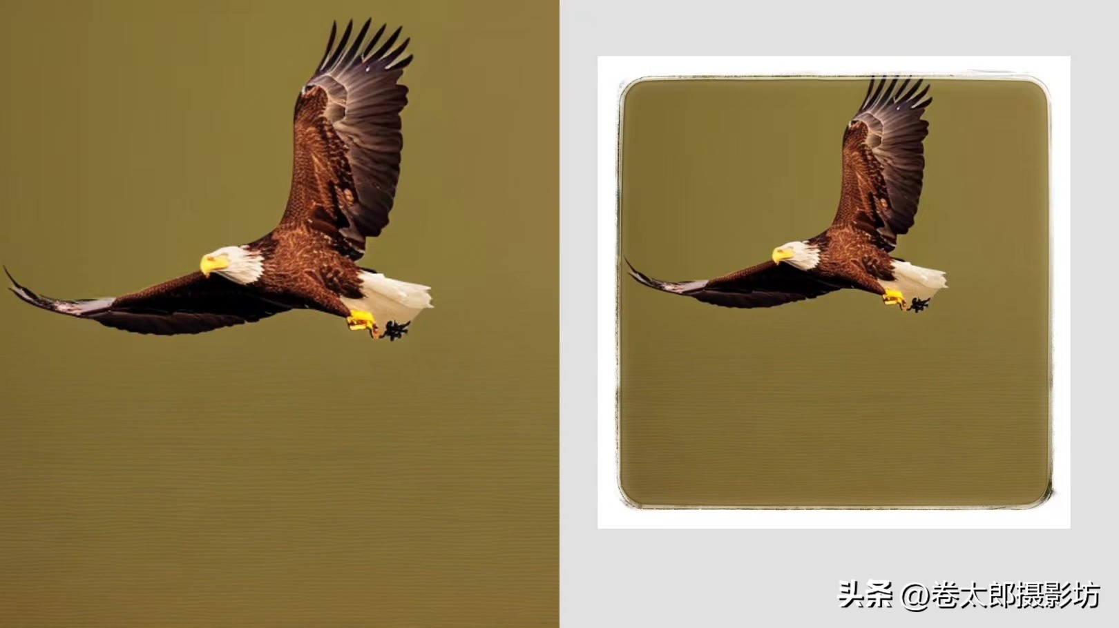 手机摄影后期修图教程,手机拍照后期修图