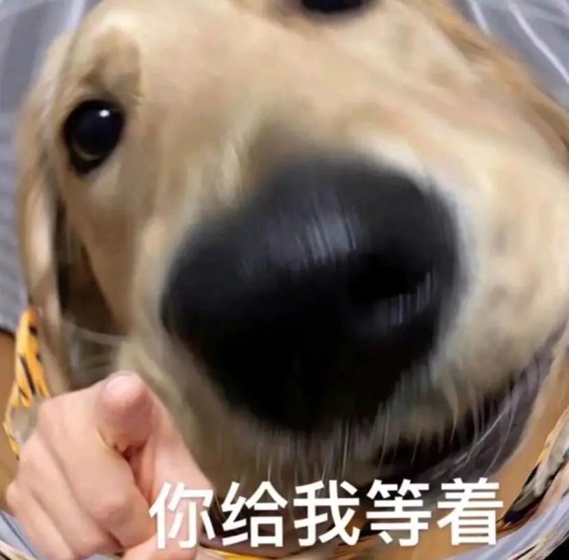 耐克阿迪的机会，足球JK