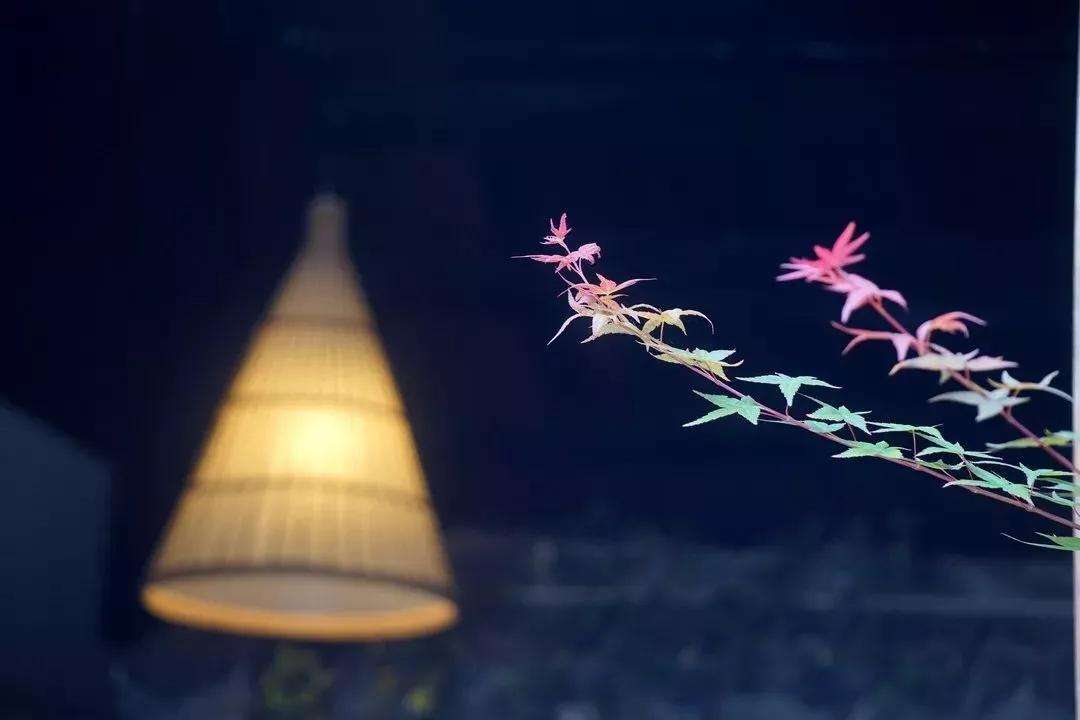 无论和谁相处记住这3点,无论和谁相处牢记三句话