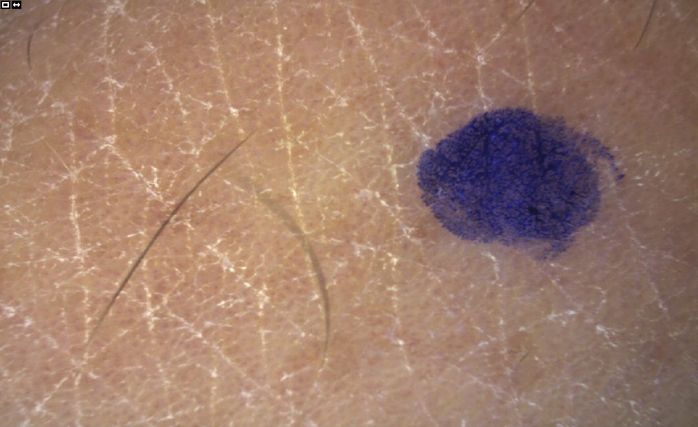 珍珠美白智商税,珍珠粉美白面霜是智商税么