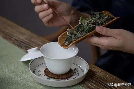 各种茶在冲泡时的投茶方式,各个茶的投茶比例是多少