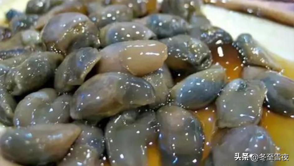 禁渔不禁鲜，海边人的“下酒菜”有哪些，网友看了直呼：享受