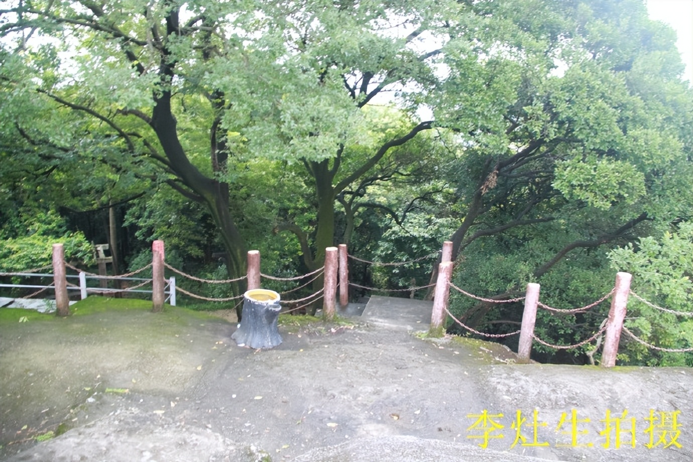 杨四将军庙简介,杨四将军庙在哪个位置