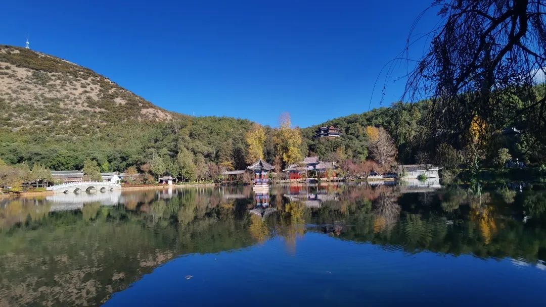 丽江旅游攻略5天4晚多少钱,五月份去丽江旅游攻略图片