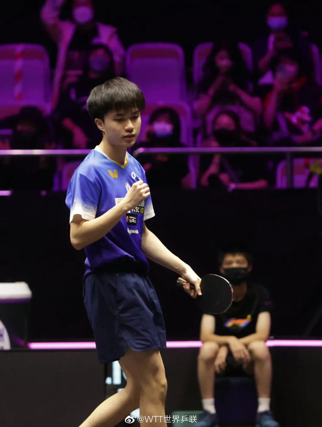 樊振东爆冷淘汰孙颖莎,樊振东战胜波尔晋级完整版