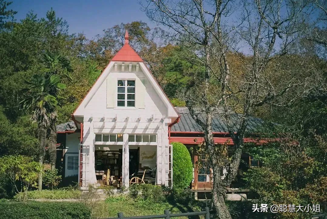 日本动漫圣地宫崎骏吉卜力美术馆,宫崎骏吉卜力美术馆购票攻略