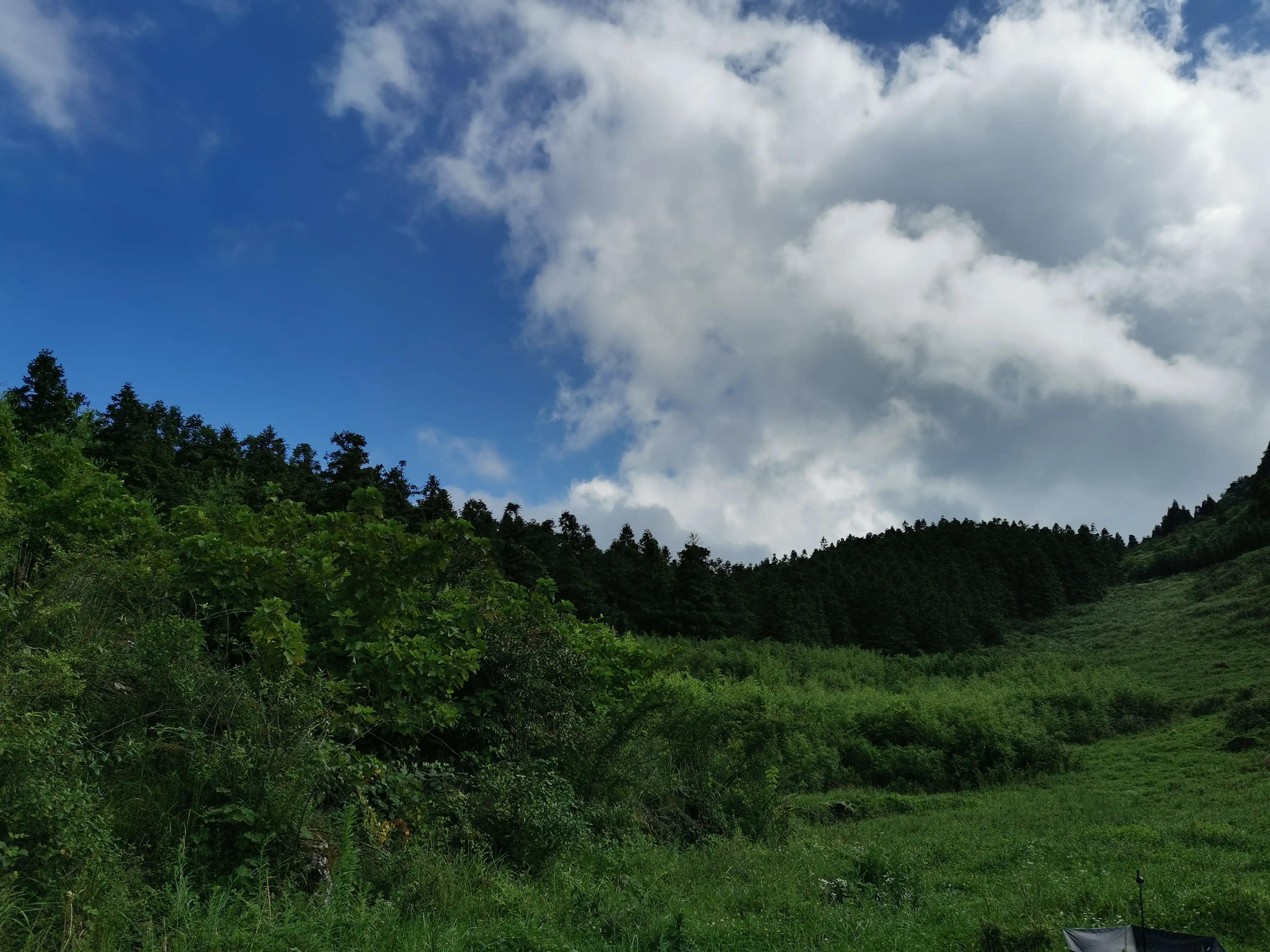 桐梓楚米避暑海拔高的地方,贵州桐梓楚米避暑哪家好