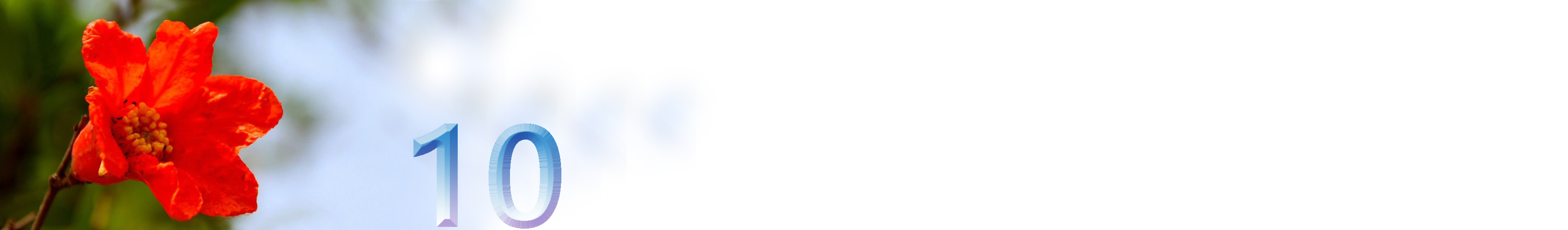 五月石榴花开的唯美诗句,关于石榴花的美文和诗句