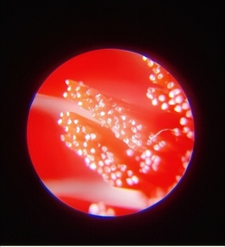 儿童电动牙刷推荐排行榜飞利浦,欧乐b和usmile儿童电动牙刷哪个好