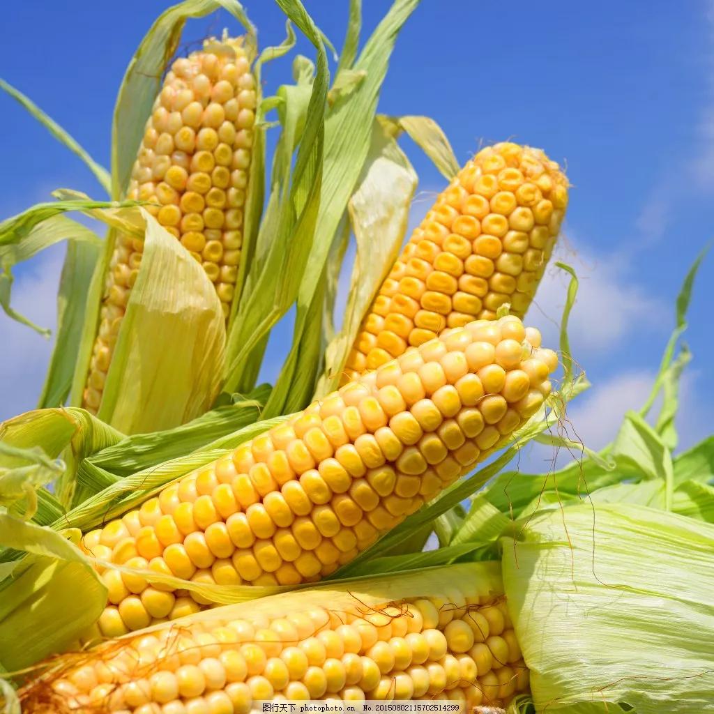 陕西农村的故事,农民与土地故事