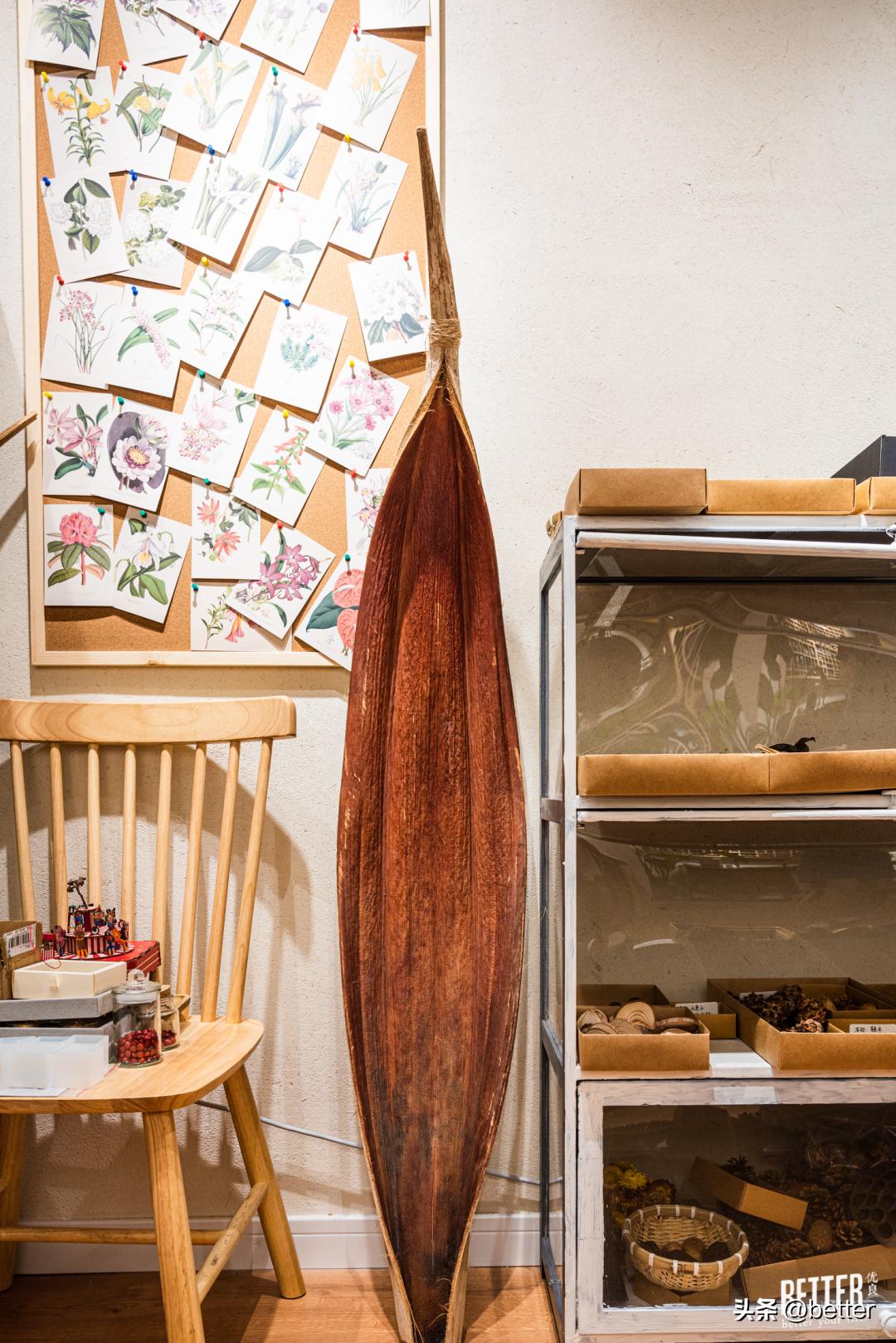 我在这家化石手作店，体验了一把「赌石」的快乐