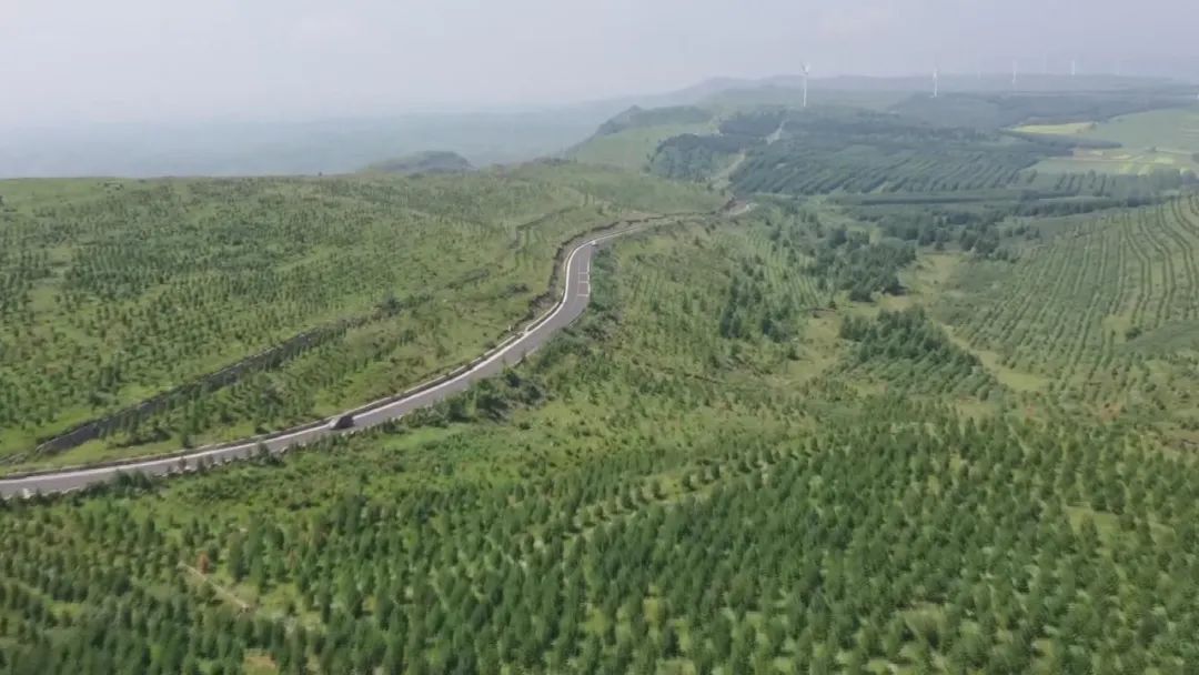 五一张家口草原天路旅游攻略,河北张家口草原天路几日游