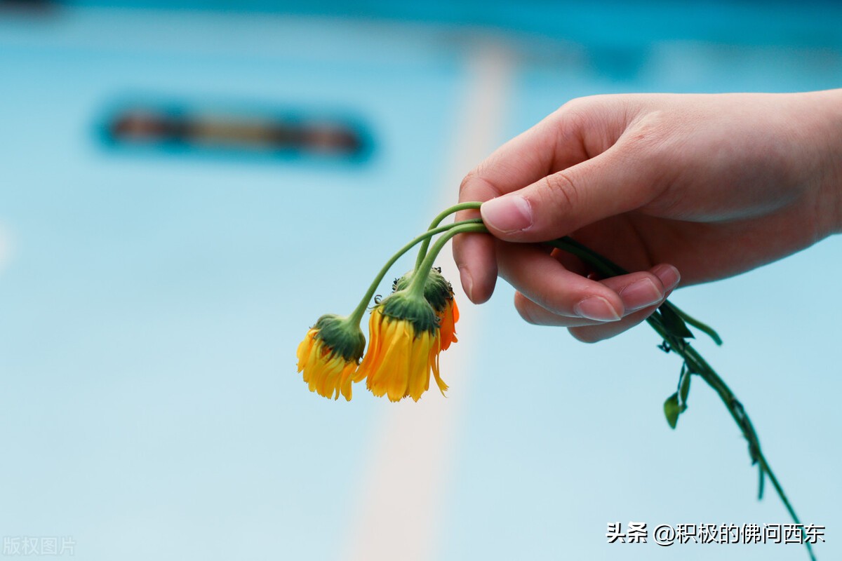 第七部的所有角色,第七种人格小说免费阅读