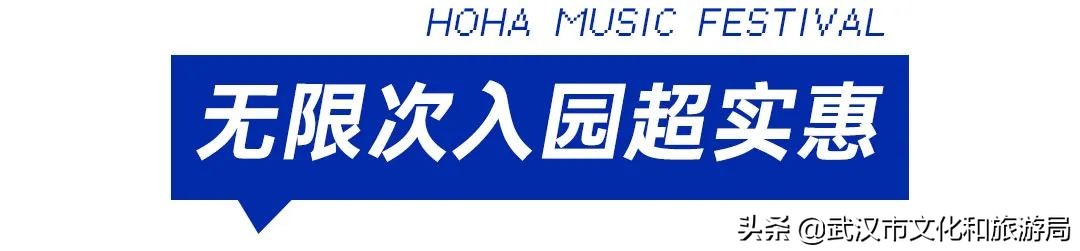 武汉自己的音乐节有多好玩,武汉8月音乐节