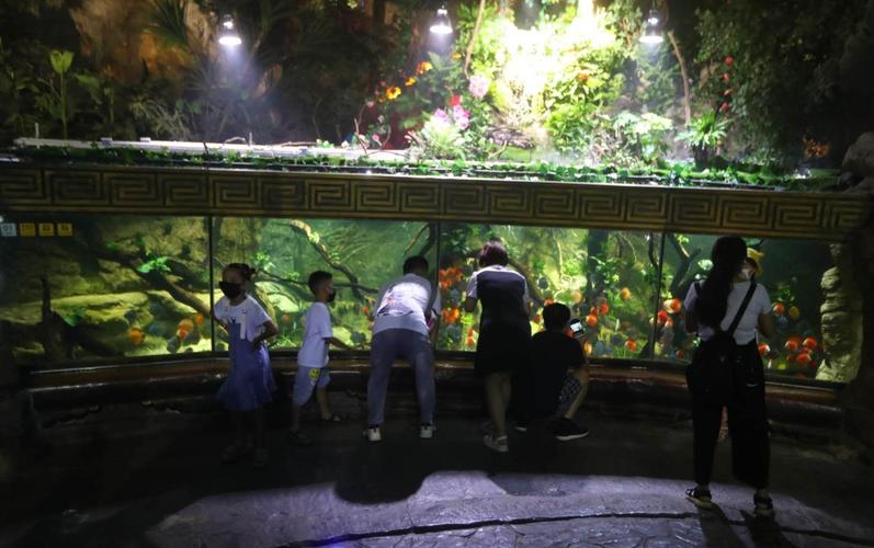 北京适合带孩子去的海洋馆,北京海洋馆亲子游