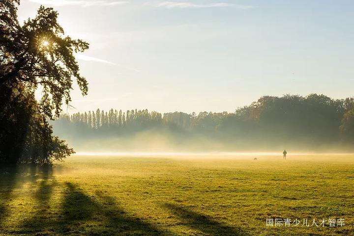 国际中文日谷雨,谷雨节气和联合国语言日