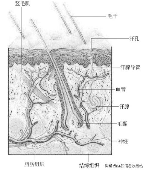 护肤书单爆款,美容化妆品书籍