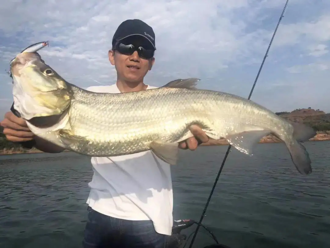 手竿穷三年路亚毁一生,少年不知国货好错把大牌当成宝