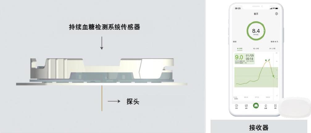 再讲一下糖尿病的知识,糖尿病基础知识12