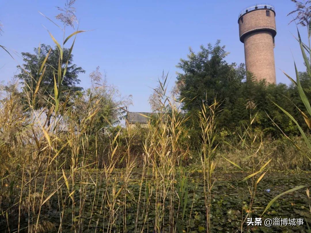 淄博市比较出名的公园,网友发现淄博一处大型荒废景区