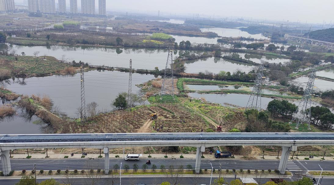 又是一年春来到处处美景,又是一年春来到图片