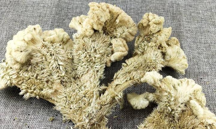 带你识别厚朴,带你识别柴胡