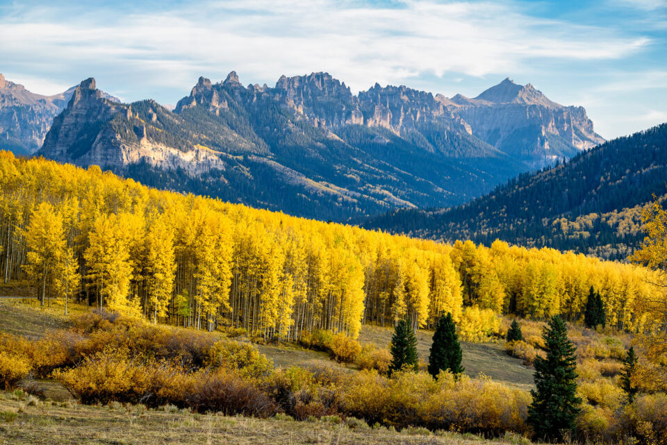 尼康z系列图片大全,尼康Z口系列