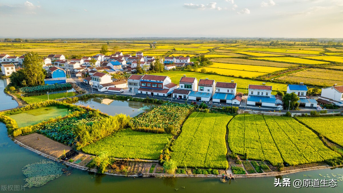 风水文化生态城市建设建议,风水文化生态城市建设
