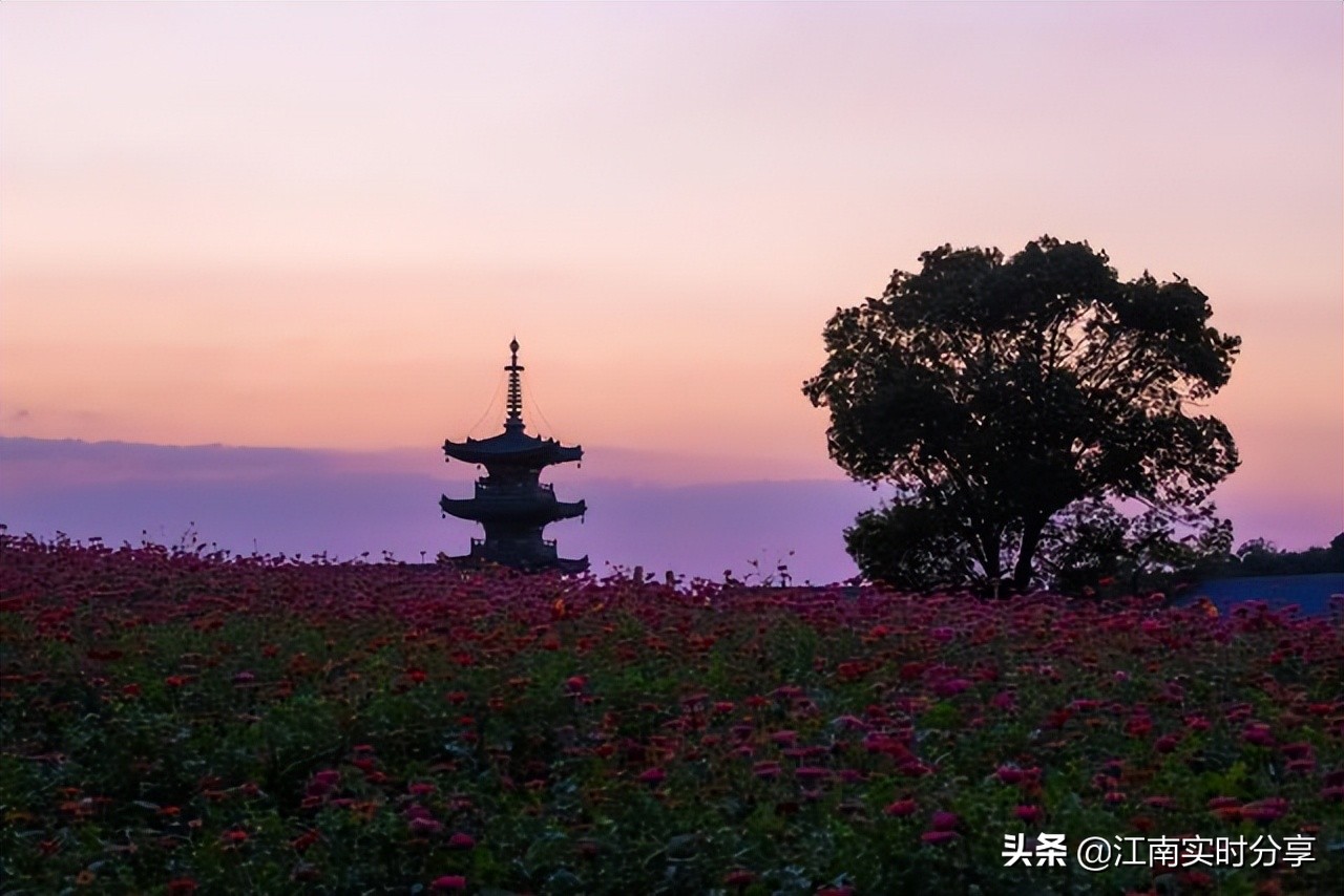 宫崎骏的绝美风景,治愈系宫崎骏夏日风景
