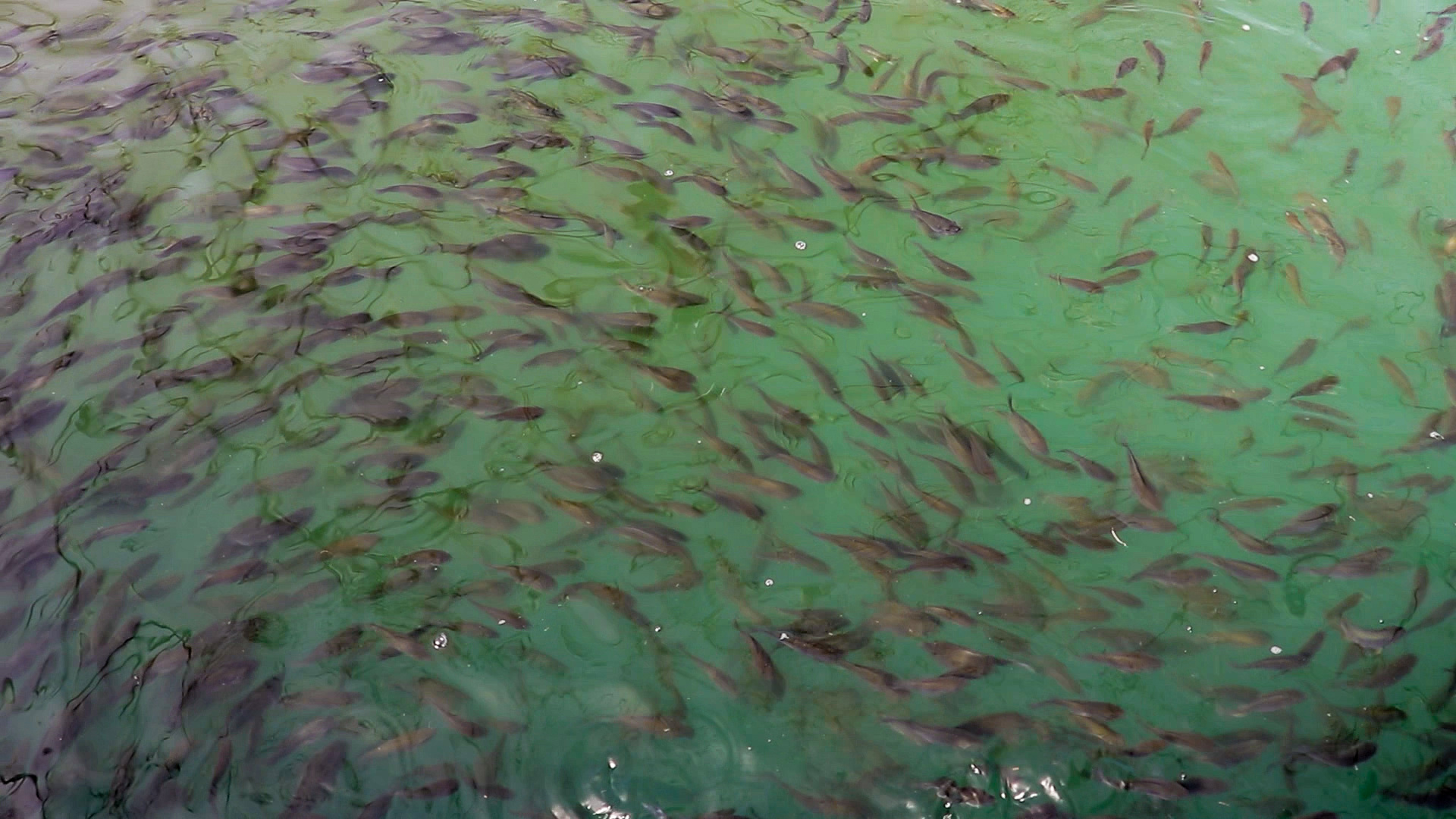 缃楅潪楸兼父鍑鸿嚧瀵岃矾涓滄槍搴滃尯,缃楅潪楸兼父鍑鸿嚧瀵岃矾