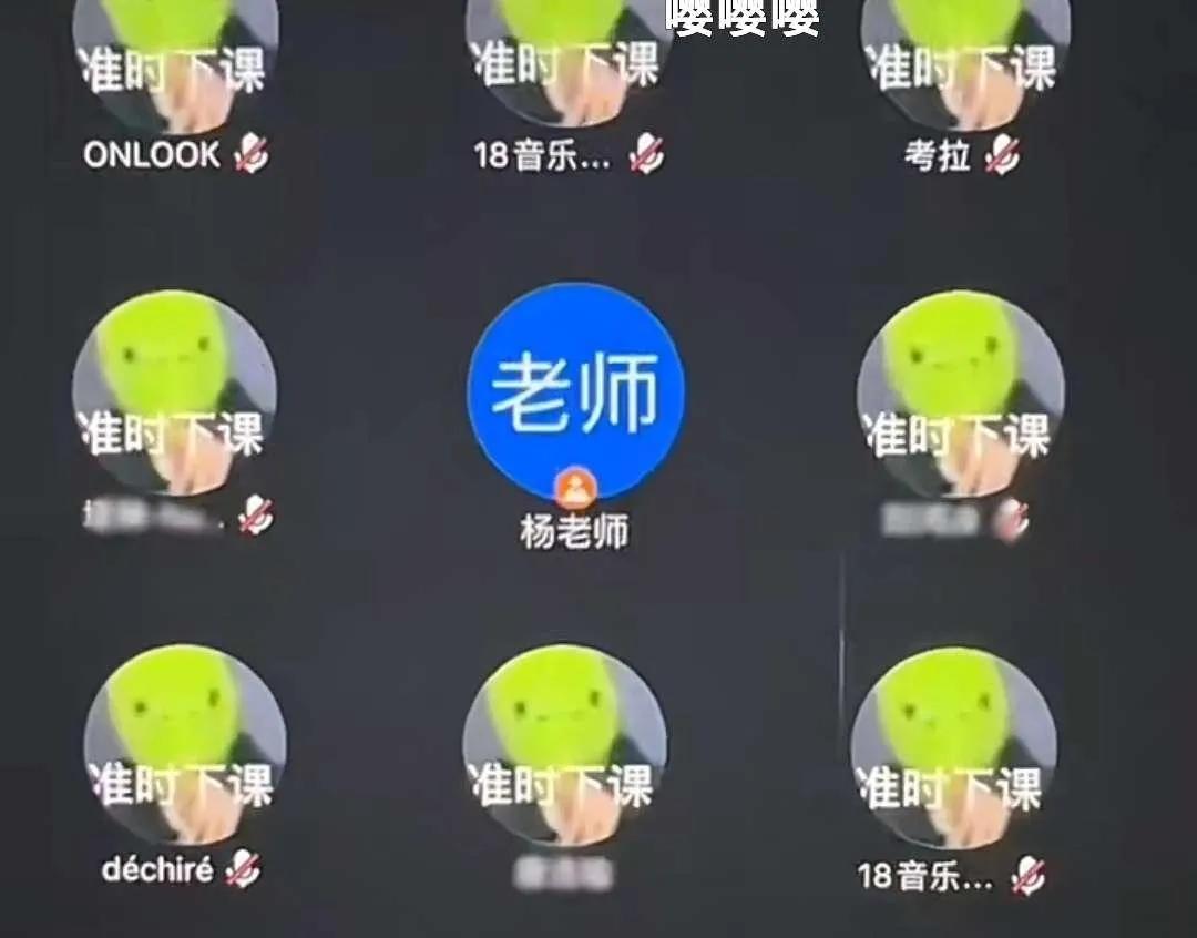 网课头像笑死,网课老师搞笑头像