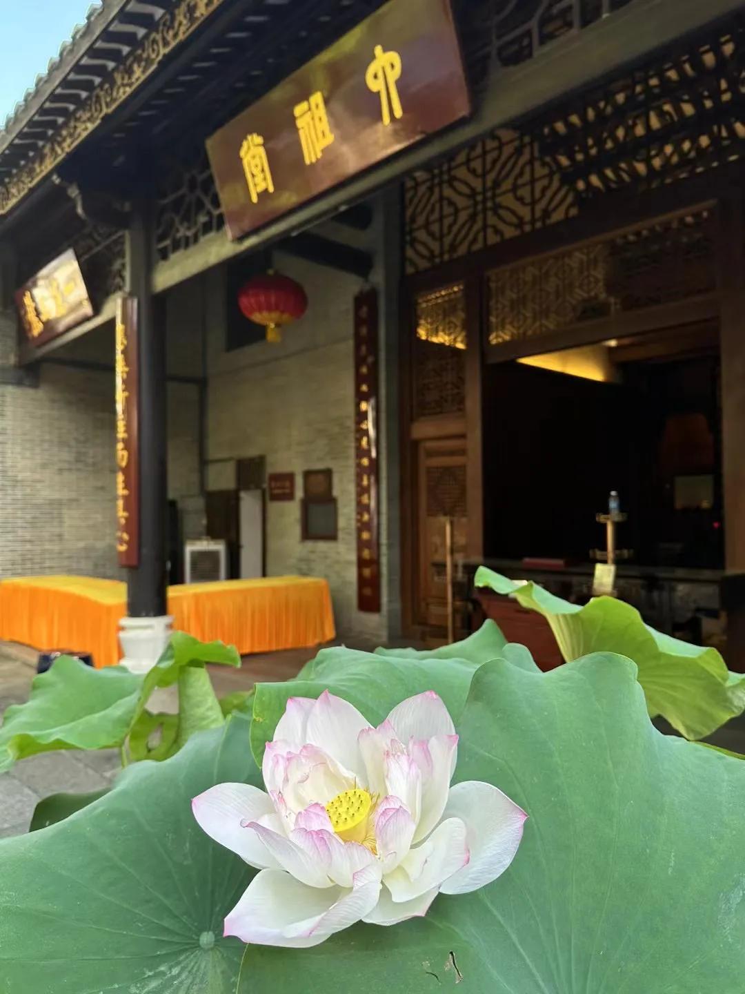 广州六榕寺最近开放吗,广州六榕寺碑文