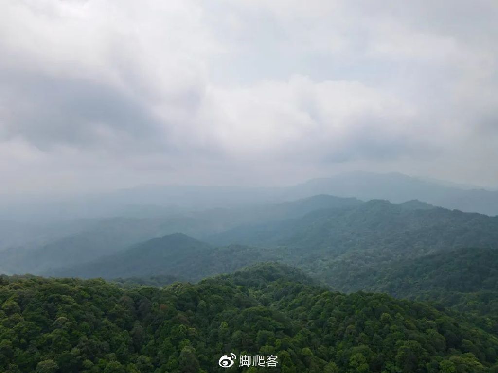 自然保护区志愿者申请,生态文化保护志愿者招募