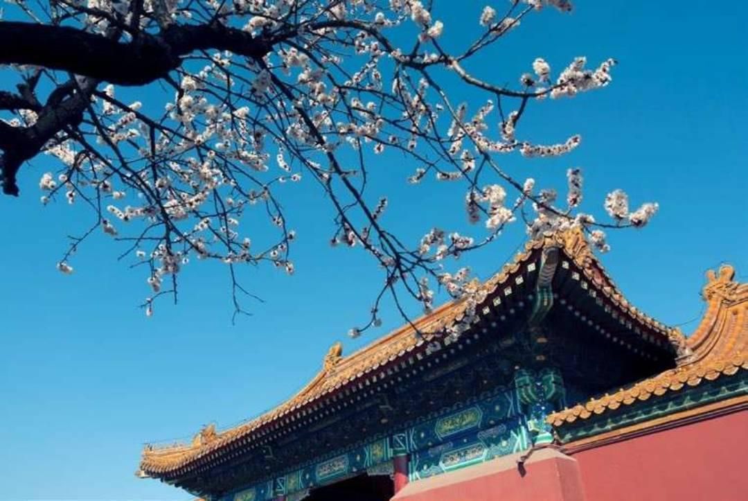 10首经典爱国诗词赏析,爱国诗词朗诵2-3分钟我的梦中国梦