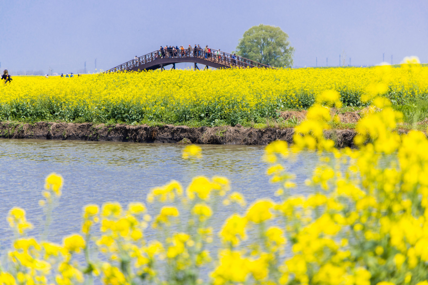春日下江南杭州,春日下江南古镇