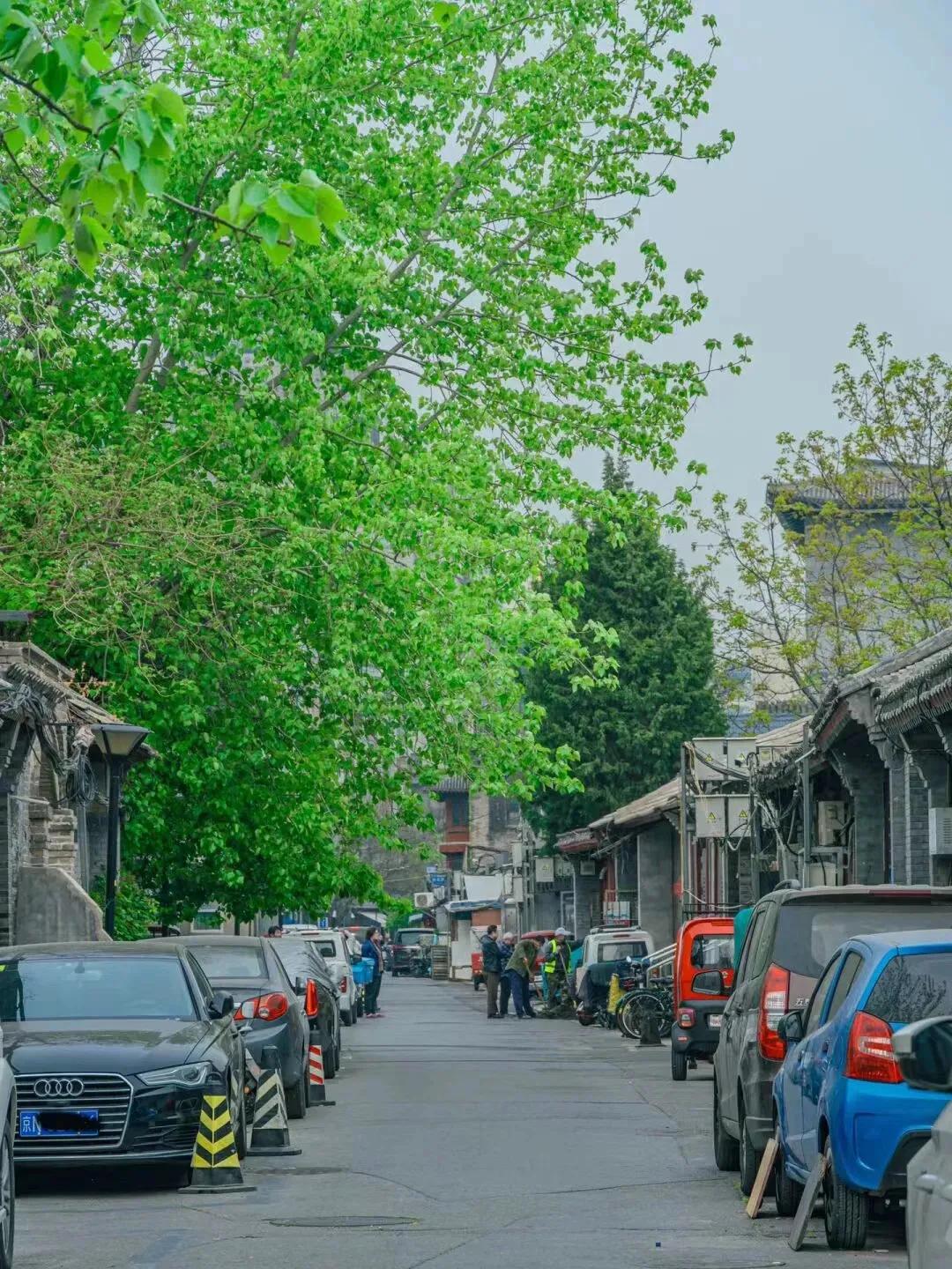 老北京胡同里接地气的生活,老北京胡同的烟火气