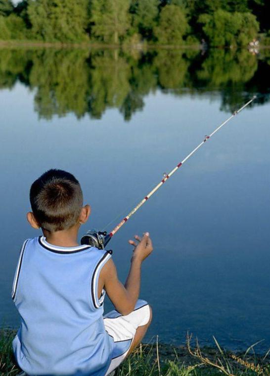 新手钓鱼入门基本知识,水库钓鱼技巧新手入门