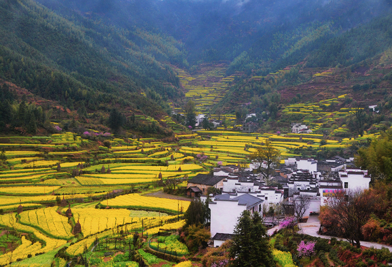 婺源摄影写真,2019梦幻之秋婺源三天摄影创作团