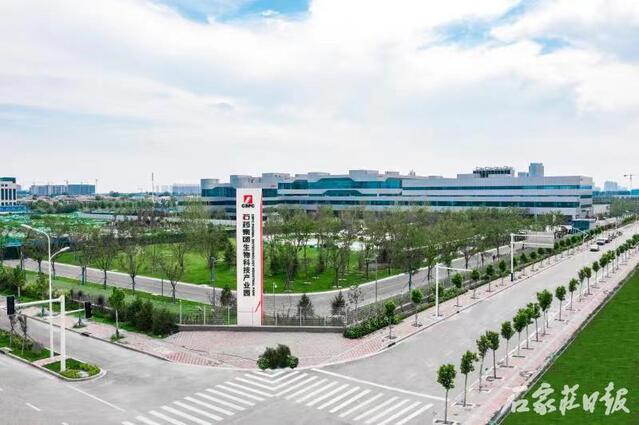 2020石家庄五大产业基地实现产值,石家庄五大千亿级产业集群有什么