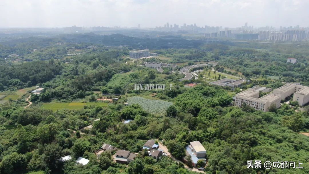 成都天府新区人工湖,天府新区在建人工湖