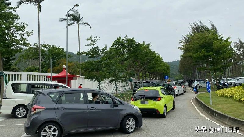 黑沙滩假期人气盛