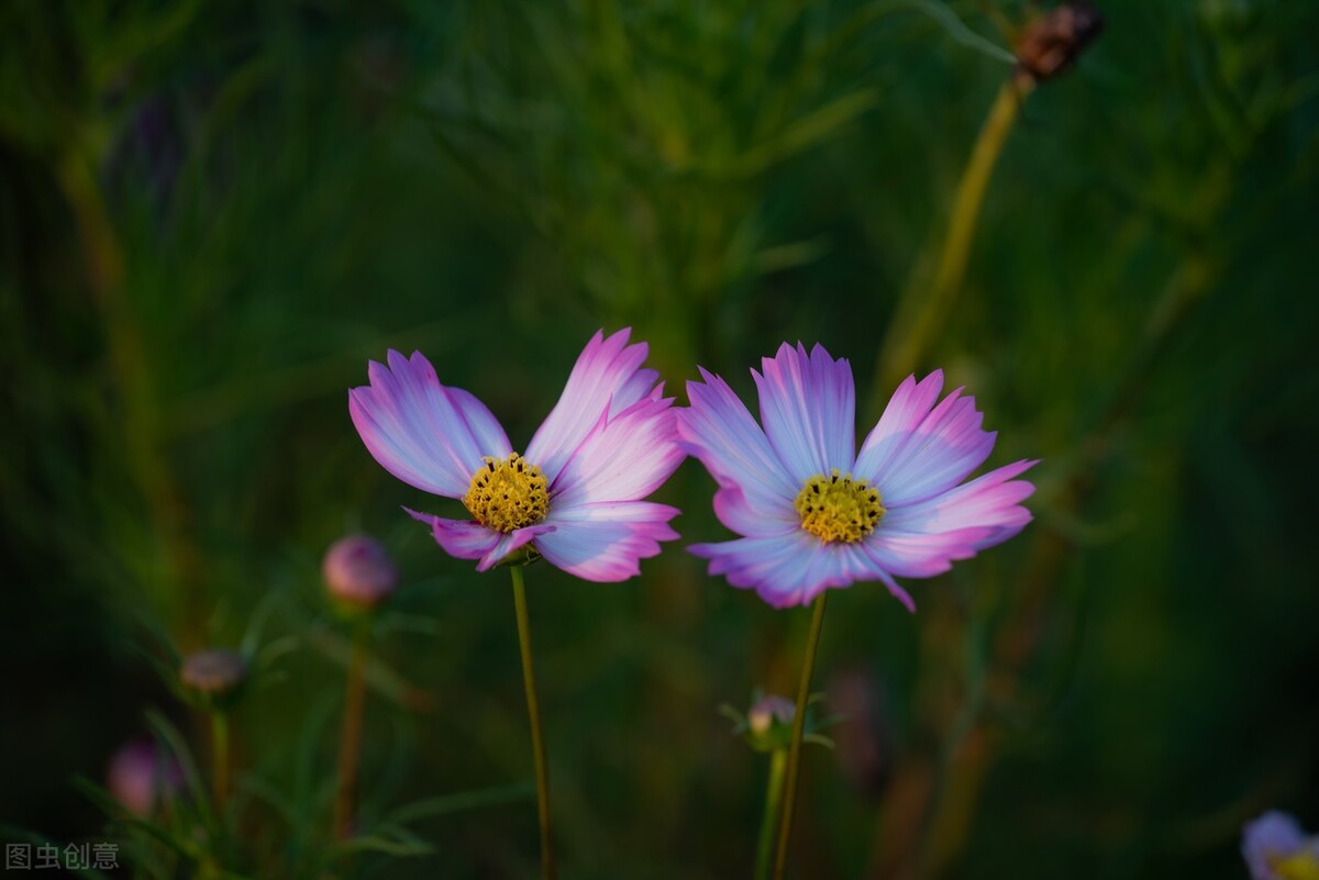 清都的原创诗词，4年作品合集，用文字记录生活