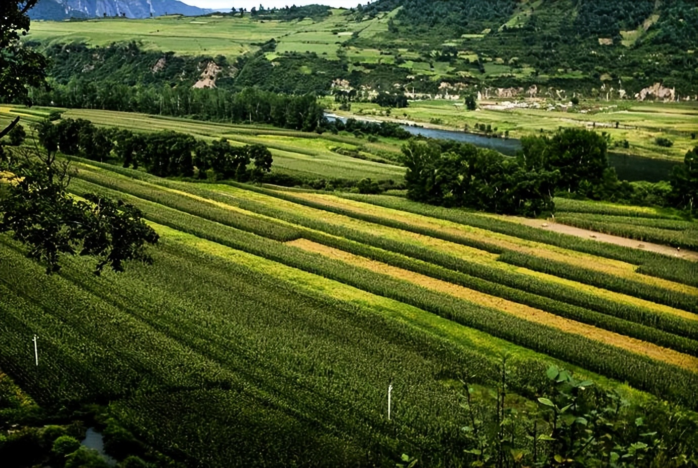 白山市出发五一2-3天短途旅游推荐,冬季白山周边一日游景点大全