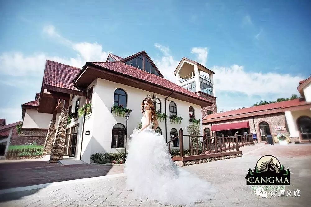 沂蒙乡村振兴学习感悟,乡村振兴看沂蒙专题