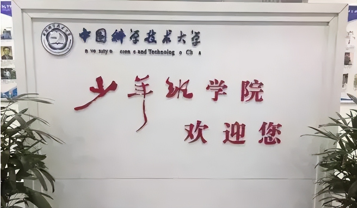 冼奇琪最终被哪所大学录取,冼奇琪考上清华北大了吗