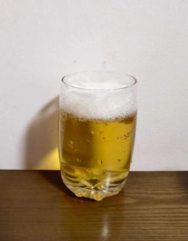 青啤1983旗舰店,金黄色的青啤