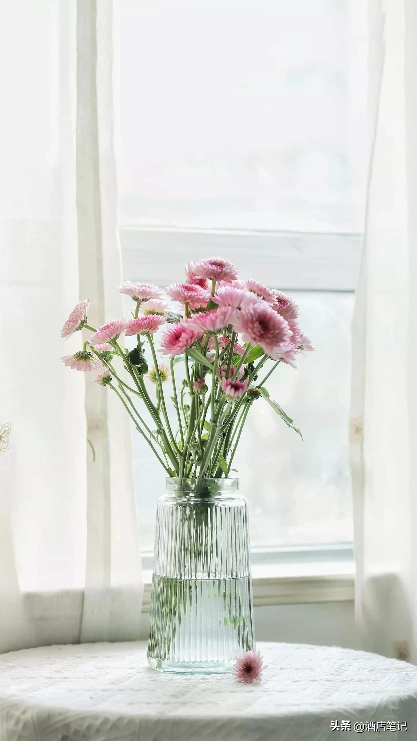 酒店执行总经理岗位职责,酒店运营总经理岗位职责